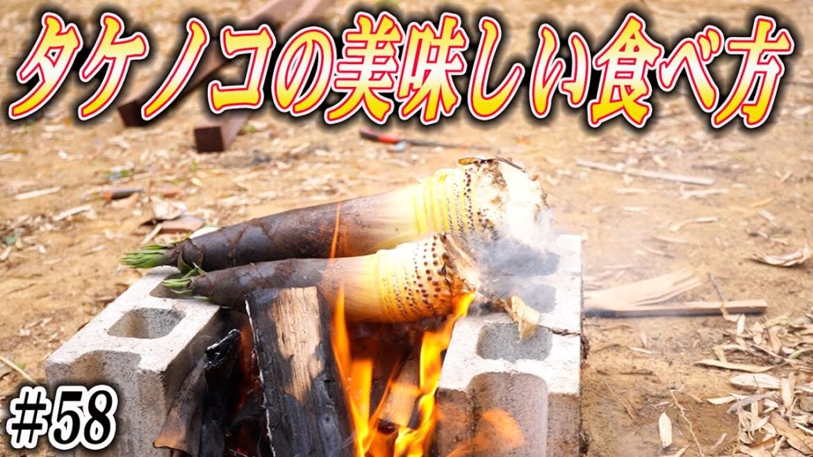 【筍狩り】タケノコの美味しい食べ方を教えます【＃58】