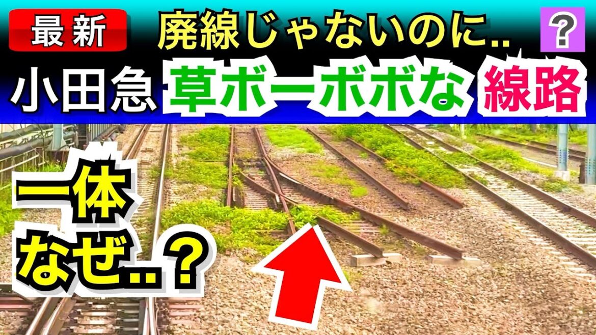 【謎】小田急線に、草ボーボボで放置された線路。一体なぜ..？