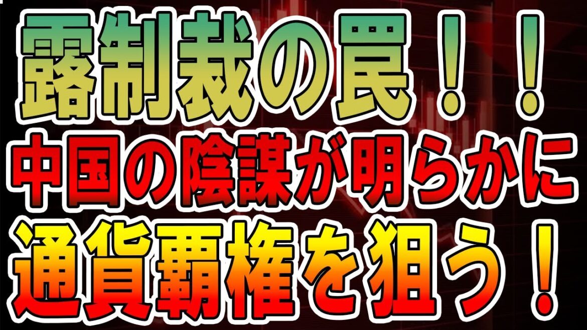 【驚愕の実態】中国の陰謀が明らかに！ロシア制裁の罠！！