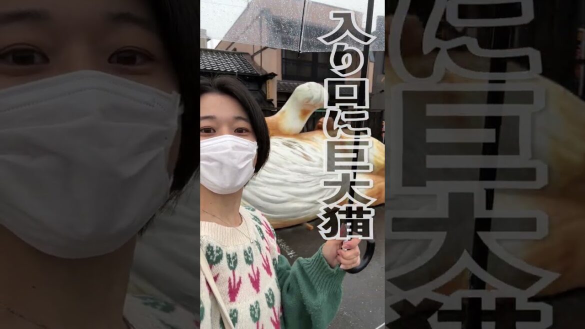 ジブリパークの帰りに寄りたい猫スポット🐈🐾