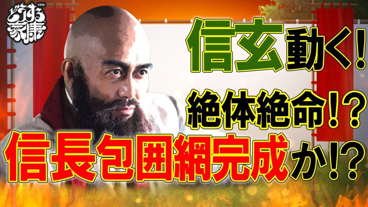 三方ヶ原の戦いが始まったワケ 武田信玄はなぜ出陣したのか？ #どうする家康