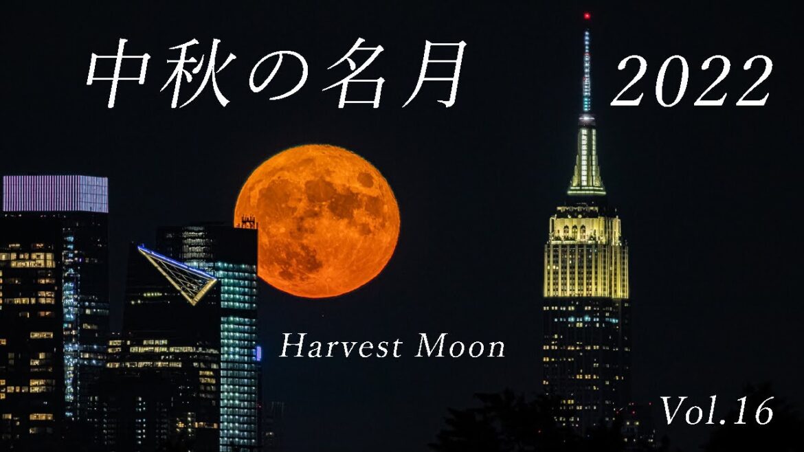 中秋の名月 2022　ーHarvest Moonー　Short Film Vol.16