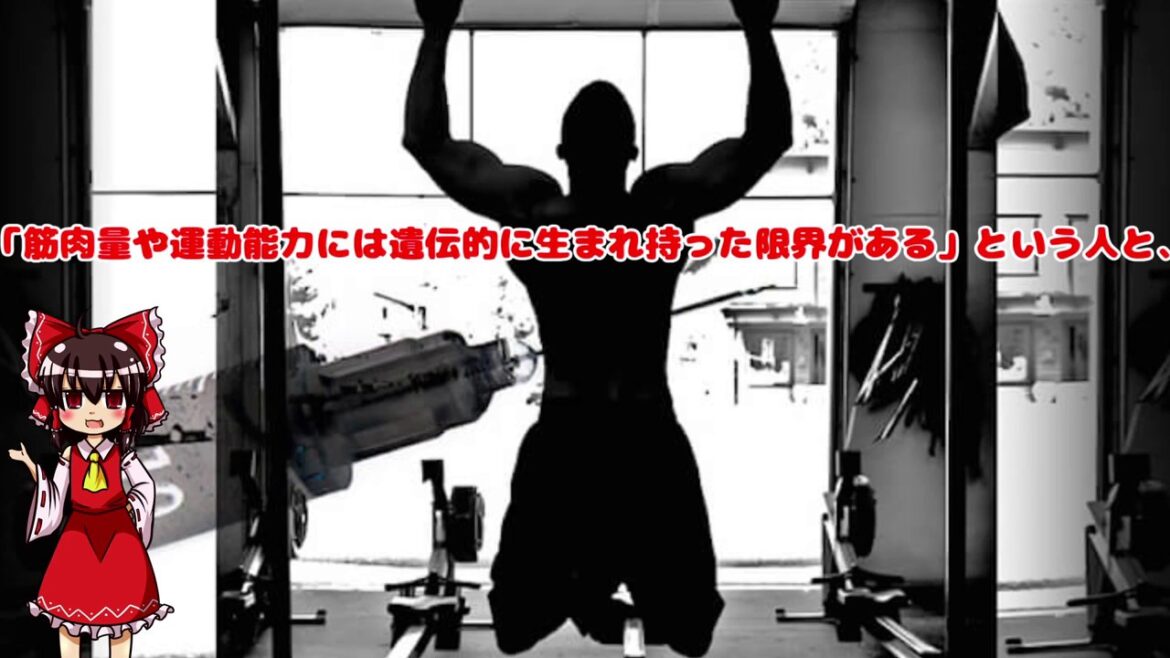 筋肉を増やせる遺伝的限界。