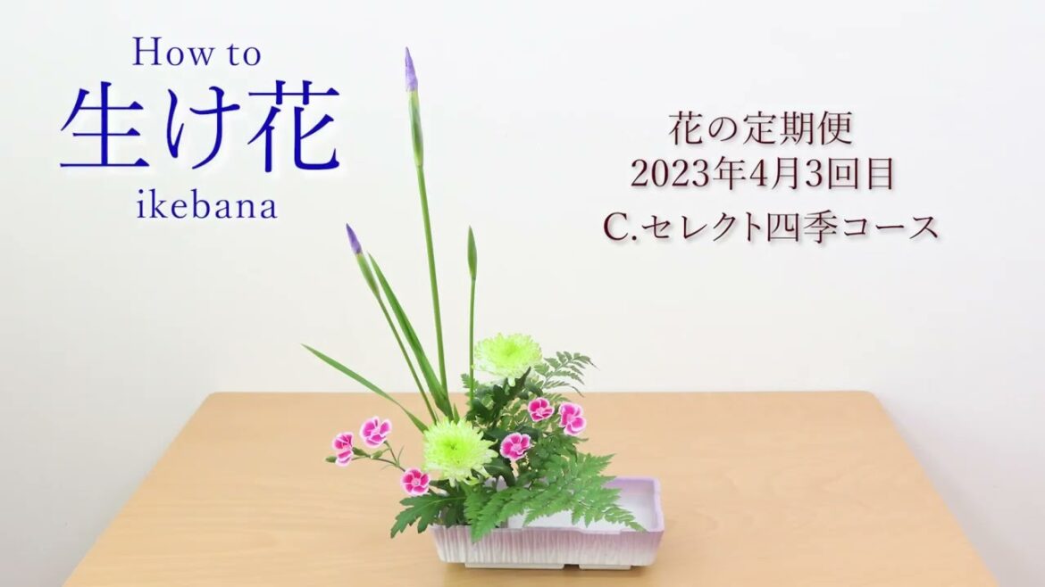 花の定期便　生け方　花菖蒲（ハナショウブ）　デコラマム　ソネットカーネーション　レザーファン