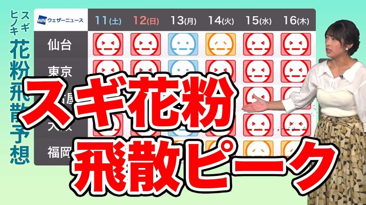 花粉飛散予想　スギ花粉の飛散ピーク　来週にかけて"非常に多い"予想の日が多い