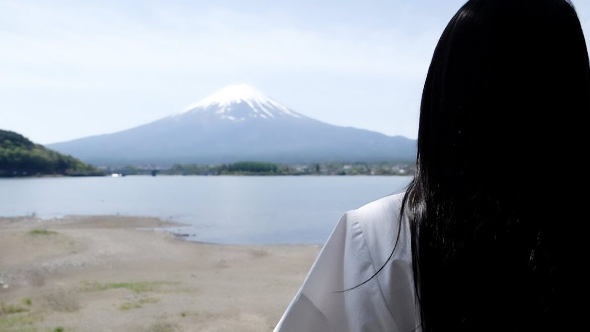 「本当のことをお話しします」から1年が経ちました