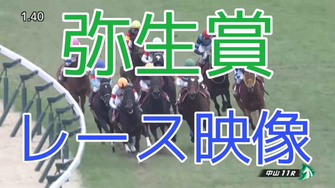 弥生賞2023 レース映像