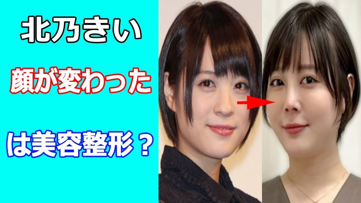 北乃きいの顔が変わったのは美容整形？育休刑事＆勝利の法廷式出演で顔の違和感指摘