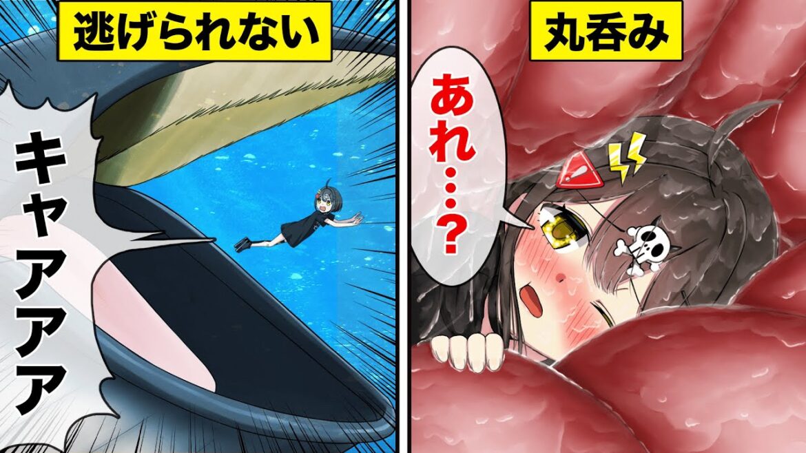 クジラに飲み込まれるとどうなるのか?【アニメ】【漫画動画】 クジラに飲み込まれるとどうなるのか?【アニメ】【漫画動画】