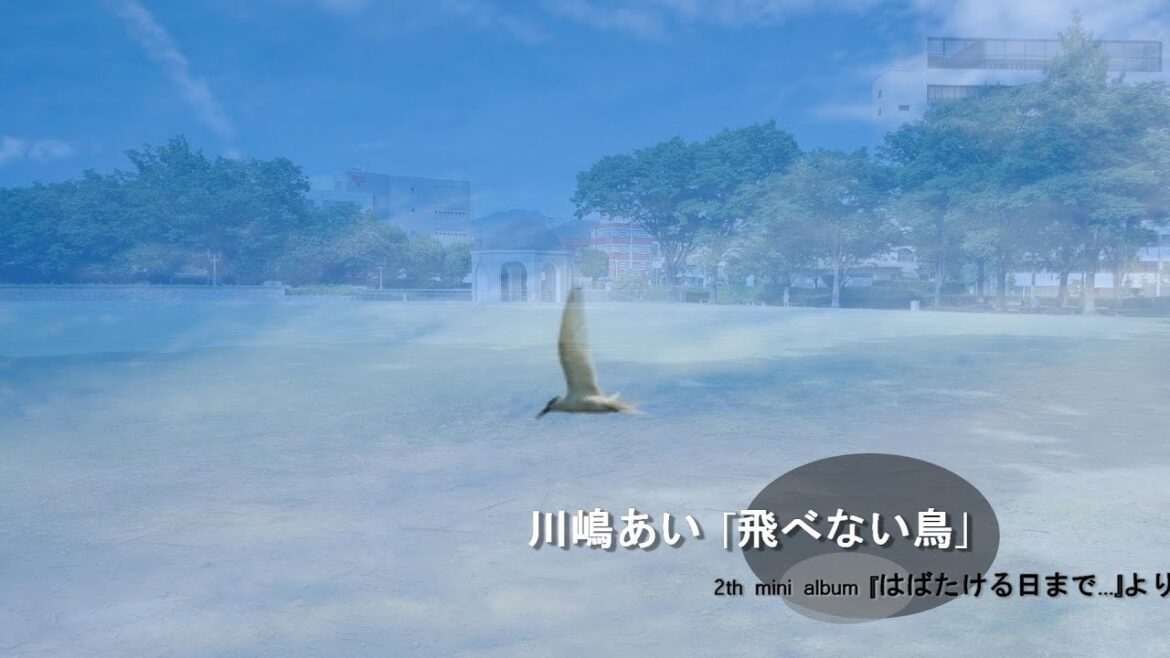 川嶋あい「飛べない鳥」