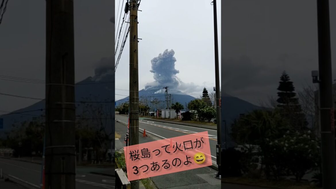 桜島の大噴火を見ながらほのぼのトーク🌋　#桜島 #鹿児島 #旅行