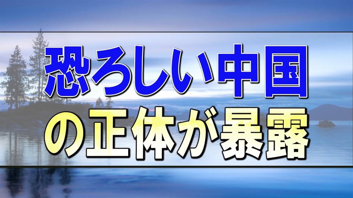 武田鉄矢今朝の三枚おろし AIに聞いてみたら、恐ろしい中国の正体が暴露！ 即停止！