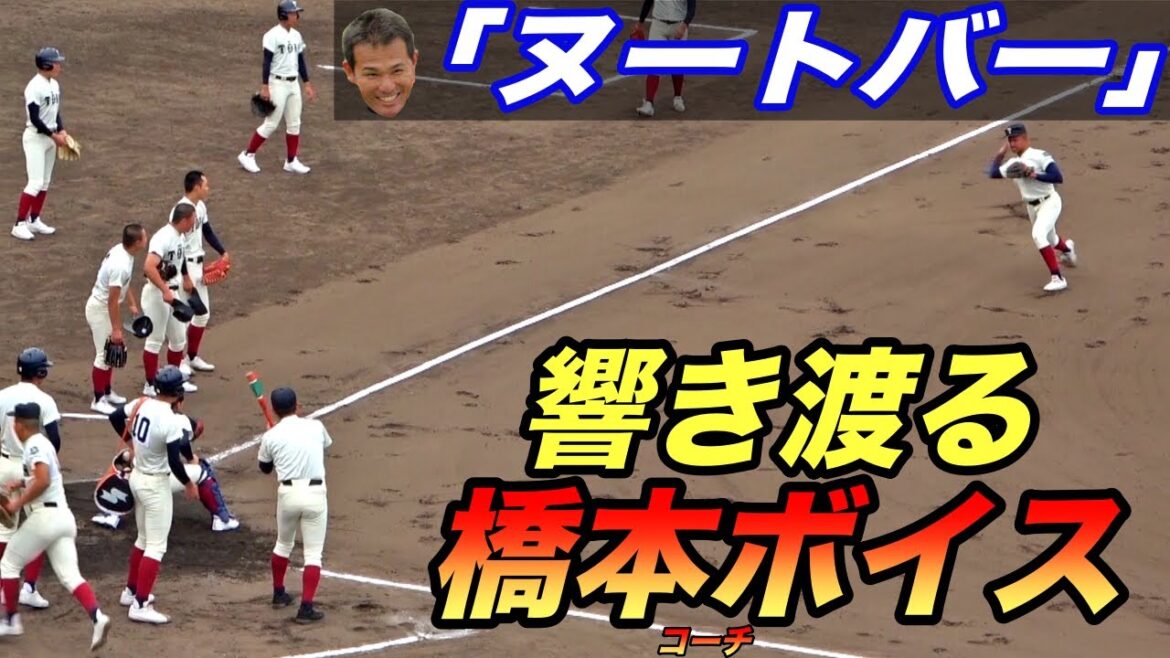 新ベンチ入り選手の動きもキレきキレ！大阪桐蔭シートノック春季大阪大会！！選手も橋本コーチも全員気合い十分！！