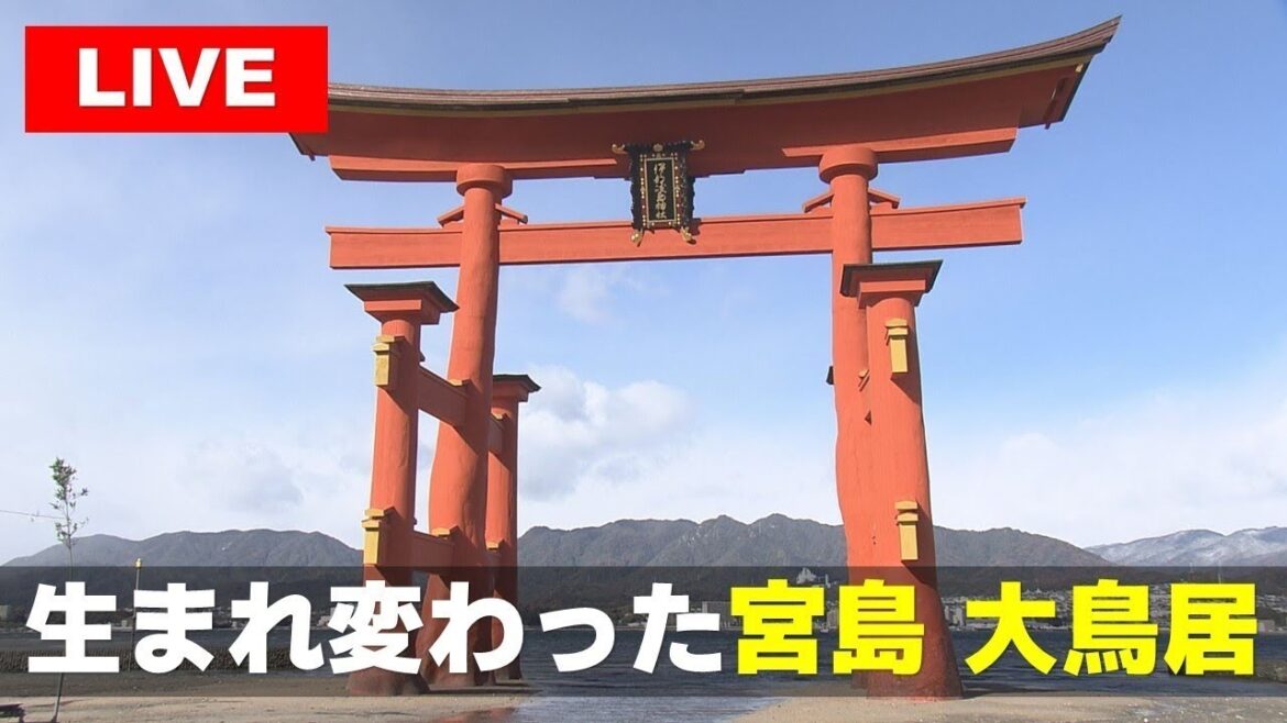 【LIVE】 世界遺産 厳島神社の大鳥居 ／Hiroshima Miyajima Itsukushima Shrine, a World Heritage Site