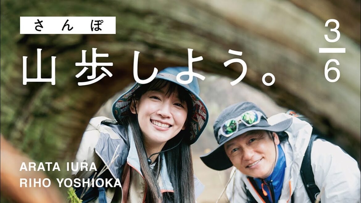 【山歩しよう。】吉岡里帆と井浦新が、ただゆったりと歩く御岳山 #3 不思議な形の杉からパワーを貰いました