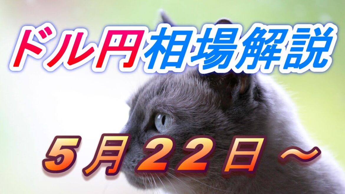 【TAKA FX】ドル円為替相場の今週の動きと来週の展望をチャートから解説。日経平均、NYダウ、金チャートも。5月22日～