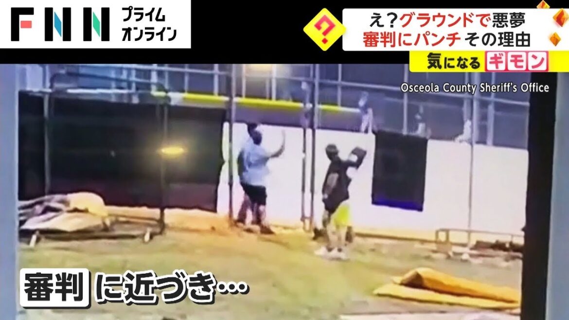 え? グラウンドで悪夢 審判にパンチ その理由 え? グラウンドで悪夢 審判にパンチ その理由