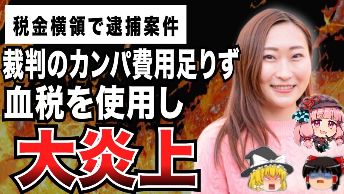 またまた大事件！Colabo仁藤夢乃、暇空氏に対し国民の血税を使用し裁判をして大炎上ｗｗｗｗｗ【ゆっくり解説】