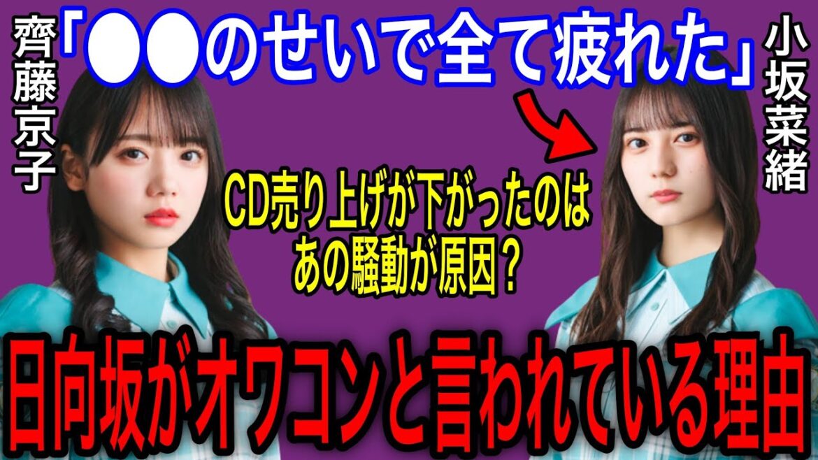 日向坂46は何故オワコンと言われているのか？【小坂菜緒・渡邉美穂・齊藤京子・他】