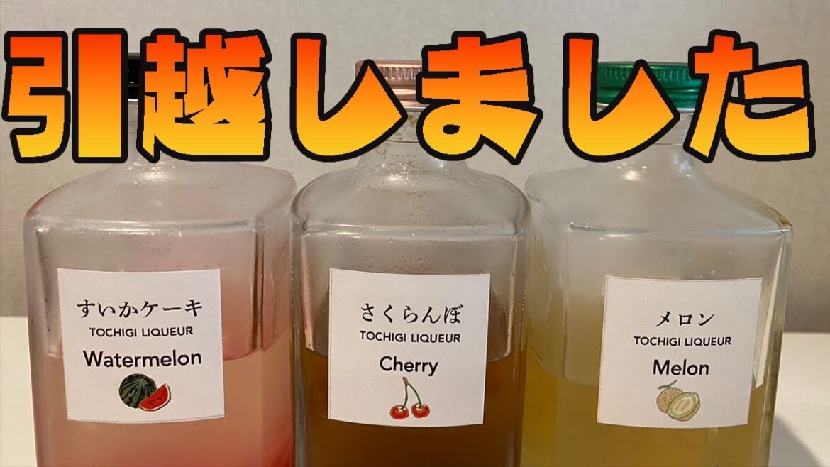 【雑談】これからの配信の話をしよう　season2【栃木リキュールあり】【林輝幸】