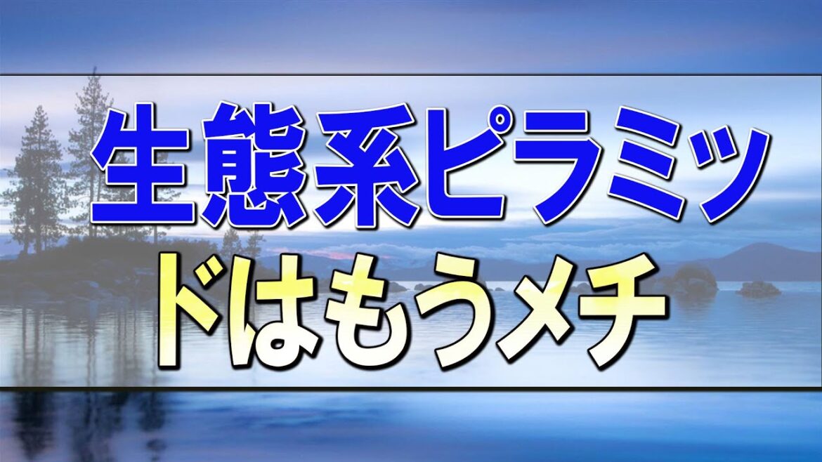 武田鉄矢今朝の三枚おろし   生態系ピラミッドはもうメチャクチャ