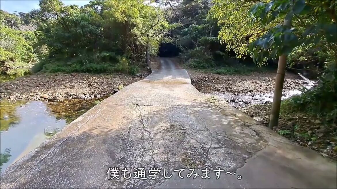 NHK連続テレビ小説『ちむどんどん』のロケ地。有津川の沈下橋。「ちむどんどん通学路」