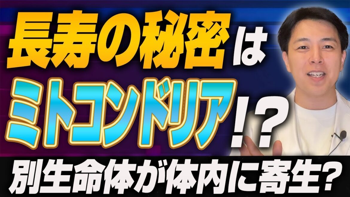 【衝撃】長寿の秘密はミトコンドリア?ミトコンドリアの存在は特別だった 【衝撃】長寿の秘密はミトコンドリア?ミトコンドリアの存在は特別だった