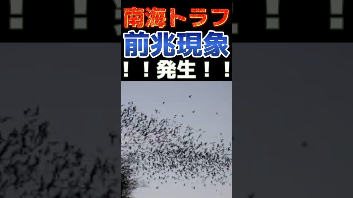 南海トラフ前兆が三重県で観測しました！！大地震が今週起こってもおかしく無い！#shorts