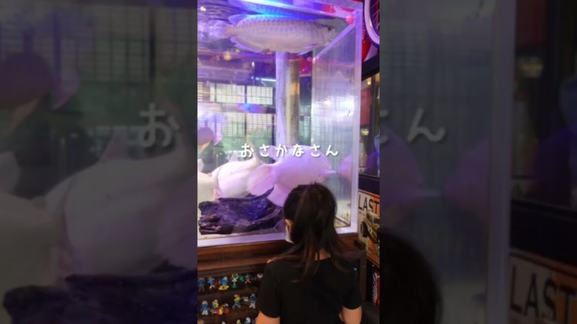 【まるで水族館！？沖縄県にあるレトロ喫茶店】ジバンシー！ちむどんどんする沖縄を紹介中🙋