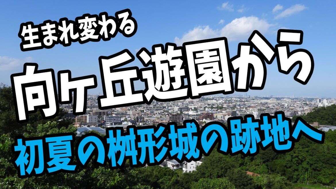 【小田急線　向ヶ丘遊園駅から】桝形城跡地まで歩く！絶景スポットをご紹介！