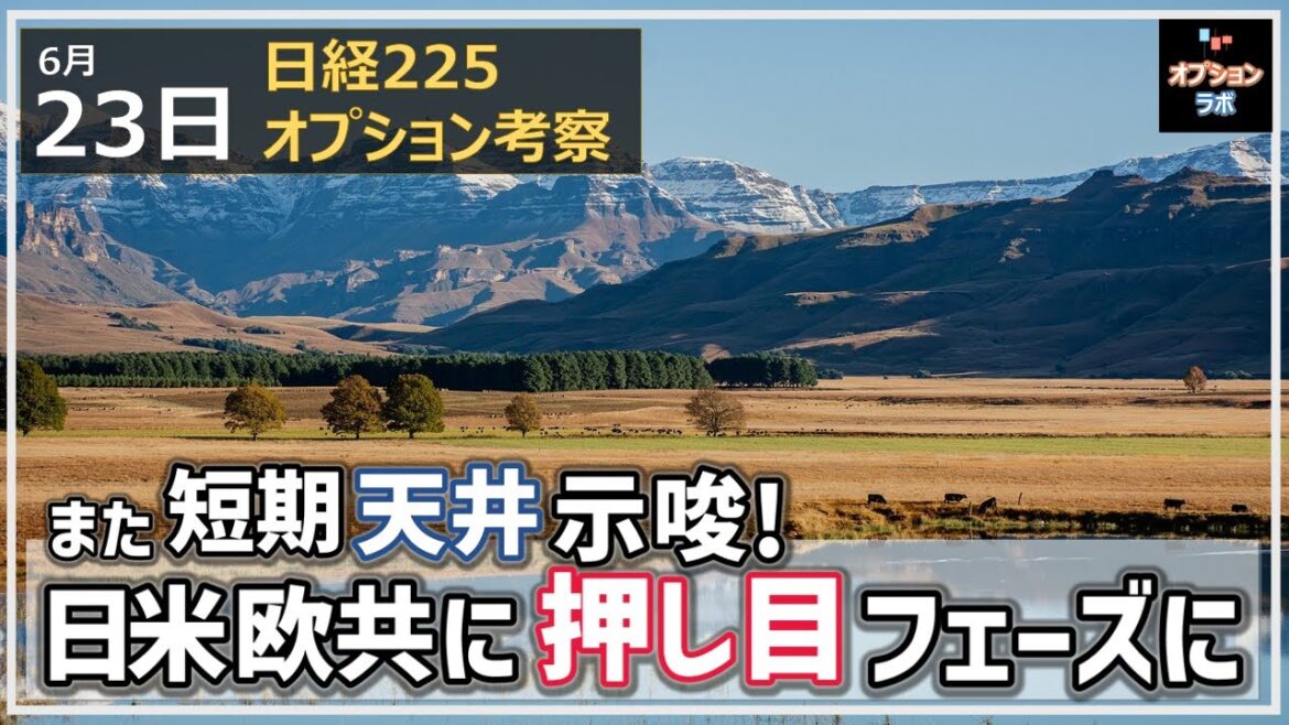 【日経225オプション考察】6/23 日経平均 また短期で天井示唆！ 日米欧共に押し目フェーズに