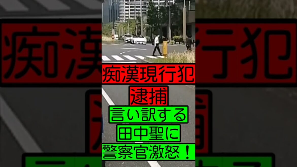 【痴漢現行犯逮捕】言い訳する元KAT-TUN田中聖に警察官激怒！正義の鉄拳！！