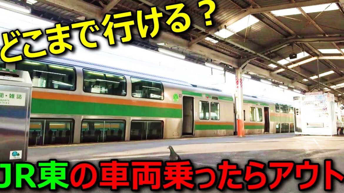 【過酷】JR東日本エリアで「他社の車両」だけ乗り継いで移動してみた