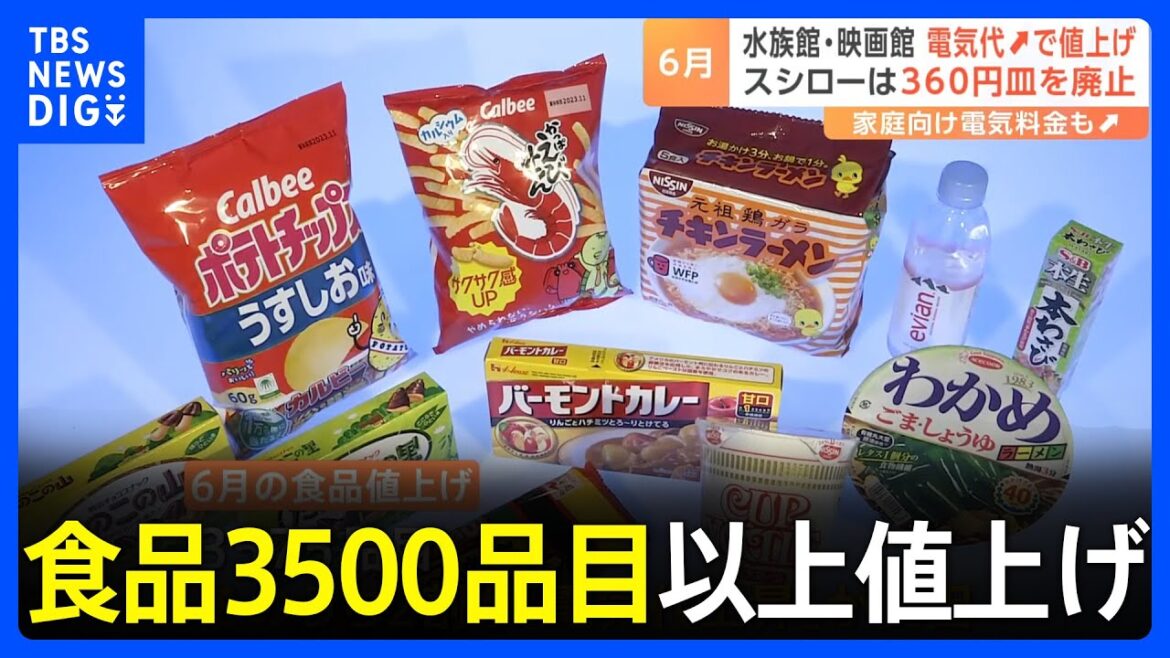 【6月の値上げ】食品3500品目以上、電気代15～40％↑、映画は2000円に　一方スシローは…値上げ見直し“白皿”導入も｜TBS NEWS DIG