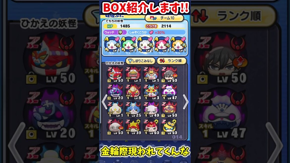 ぷにぷに  自称ガチ勢のBOX紹介！！#shorts 【ゆっくり実況】【妖怪ウォッチぷにぷに】