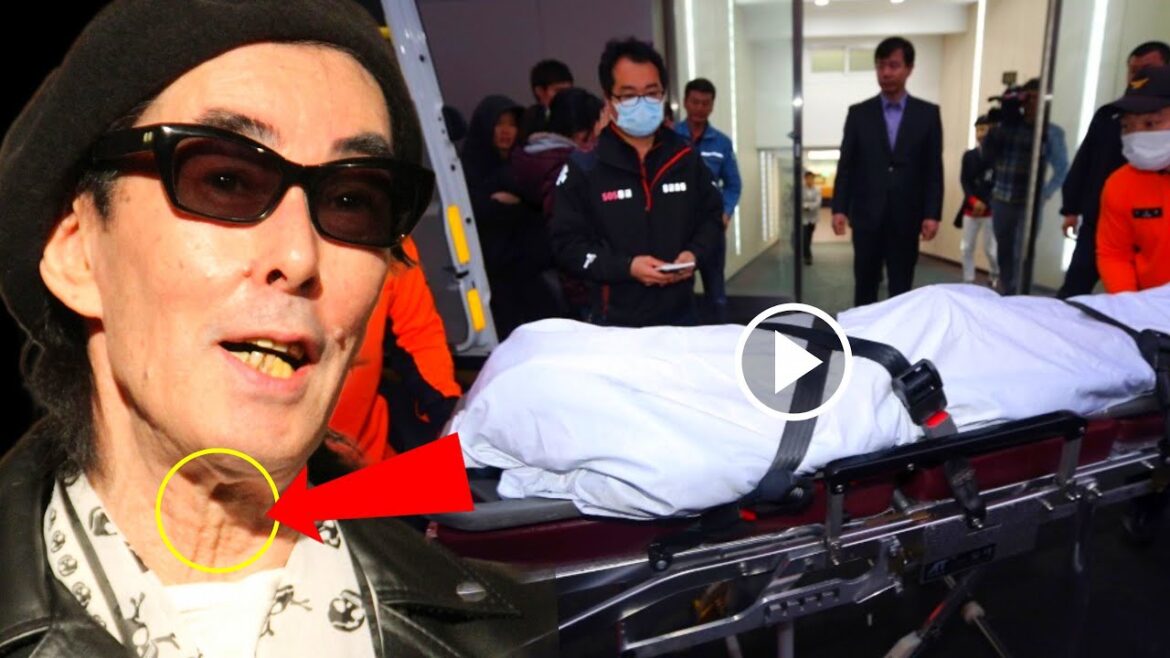 シーナ＆ロケッツ 鮎川誠 生前最後の感動映像 |死因が衝撃💔🕊️😭