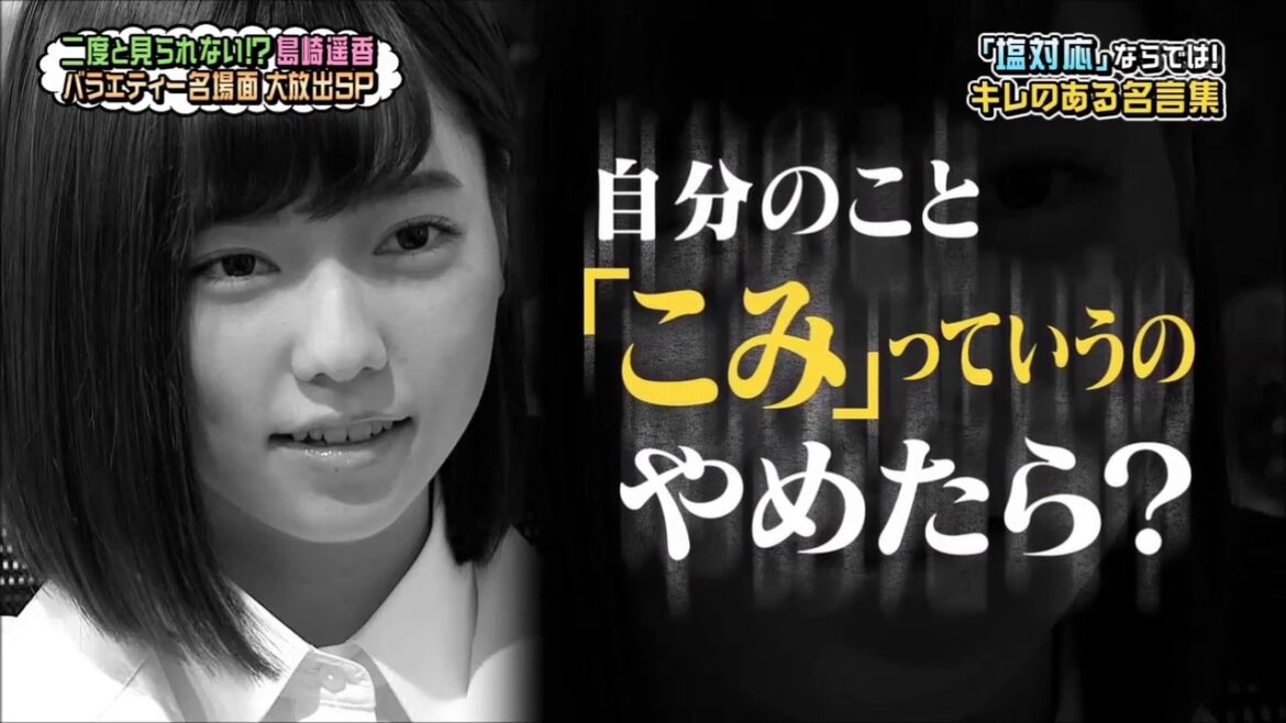 島崎遥香「自分のことこみっていうのやめたら？」 AKBINGO!
