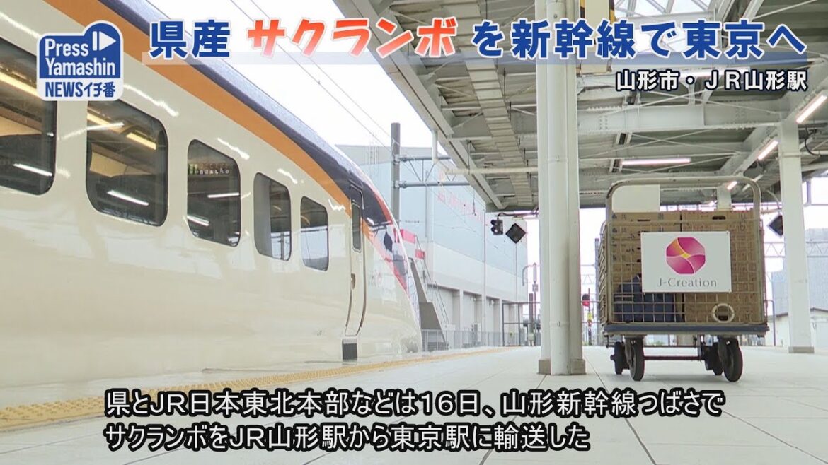 県産サクランボを新幹線で東京へ　山形市・ＪＲ山形駅