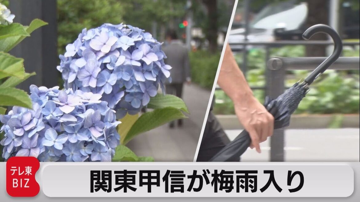 関東甲信が梅雨入り　今後の雨と台風３号は？（2023年6月8日）