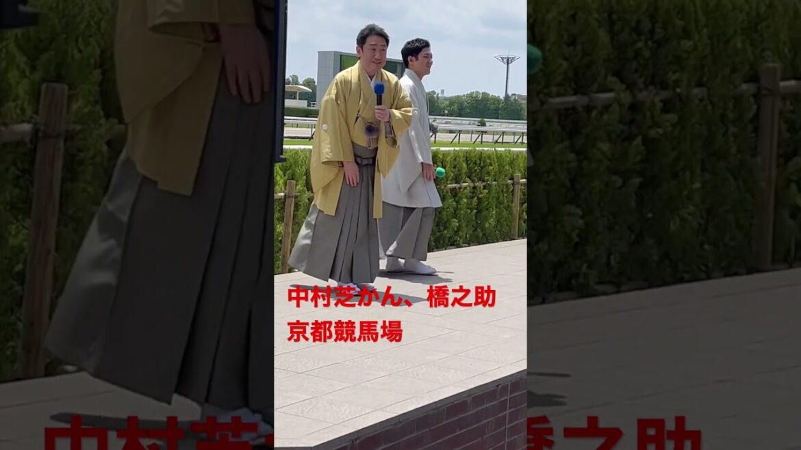 中村芝かん、橋之助　京都競馬場