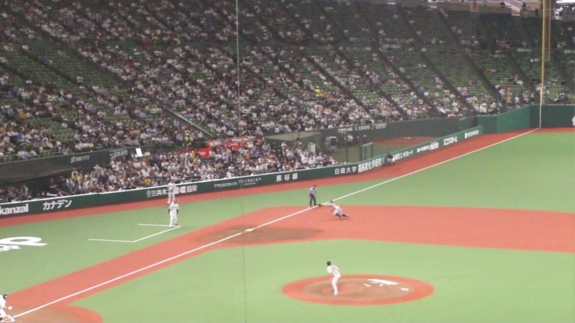 阪神 佐藤輝明 ナイスプレー　西武 vs 阪神　2023年6月1日(木)