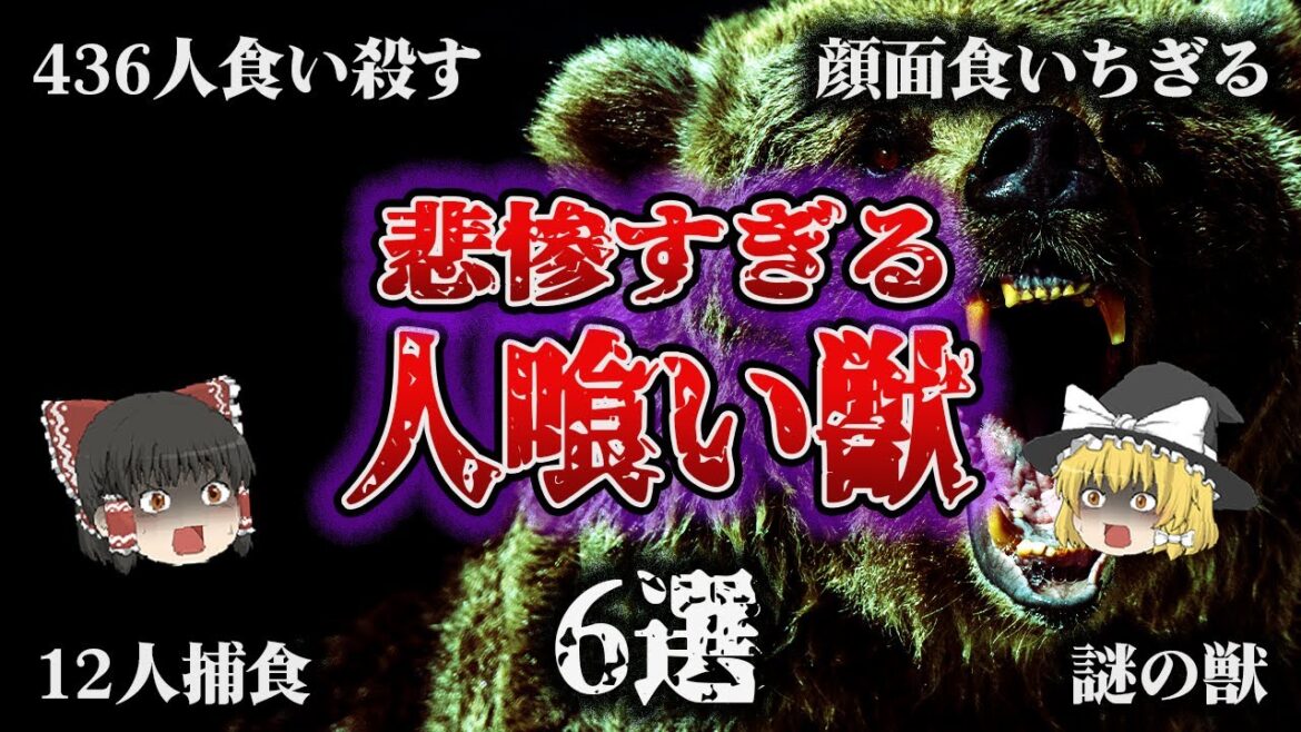 【総集編】人喰い獣の惨劇6選【神野寺トラ脱走事件／チャンパーワットの人食い虎／ジェヴォーダンの獣／乗鞍岳クマ襲撃事件／チンパンジーが顔面を食いちぎる／マイソールの人喰い熊事件】