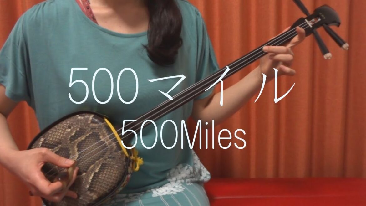 『 500マイル 』 松たか子 忌野清志郎【 三線 cover 】／『 500 miles 』 Takako Matsu  Kiyoshiro Imawano 【 Sanshin Cover  】