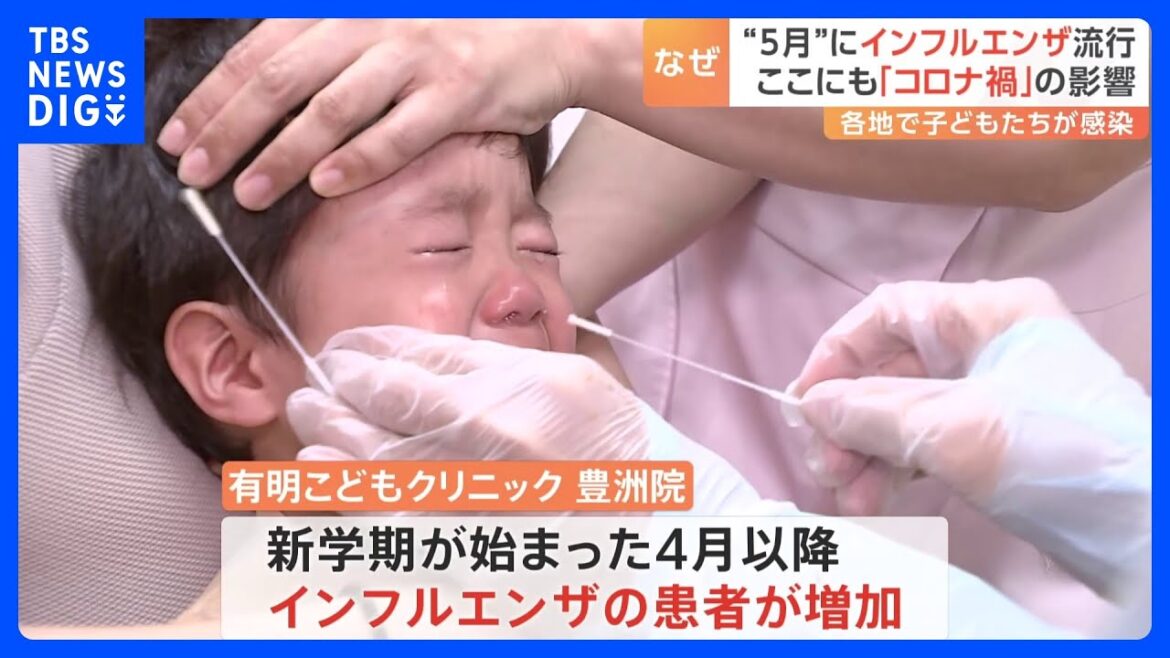 なぜ5月に？季節外れのインフルエンザ　子どもを中心に流行が続く　コロナ禍の影響｜TBS NEWS DIG