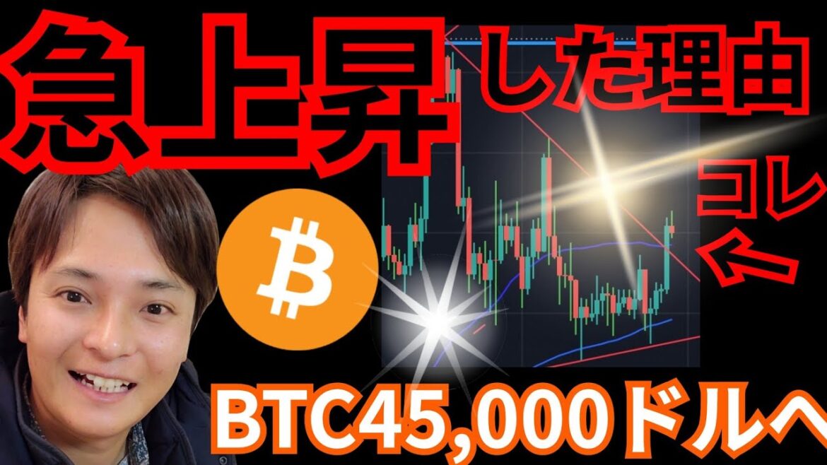 【急上昇】その理由。仮想通貨ビットコイン、45,000ドルへ？
