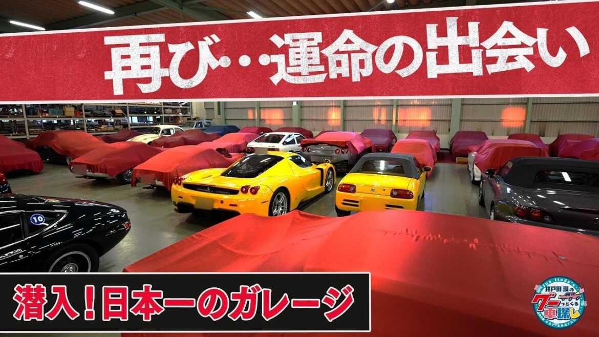 井戸田潤のグーっとくる車探し！【再び日本一ガレージ】日本一のガレージで試乗させてもらえることに！オーナーお勧めの2台は？#5