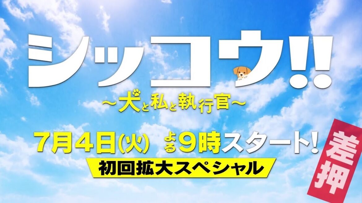 『シッコウ!!～犬と私と執行官～』2023年7月4日スタート！【毎週火曜】よる9：00～／ティザー30秒PR