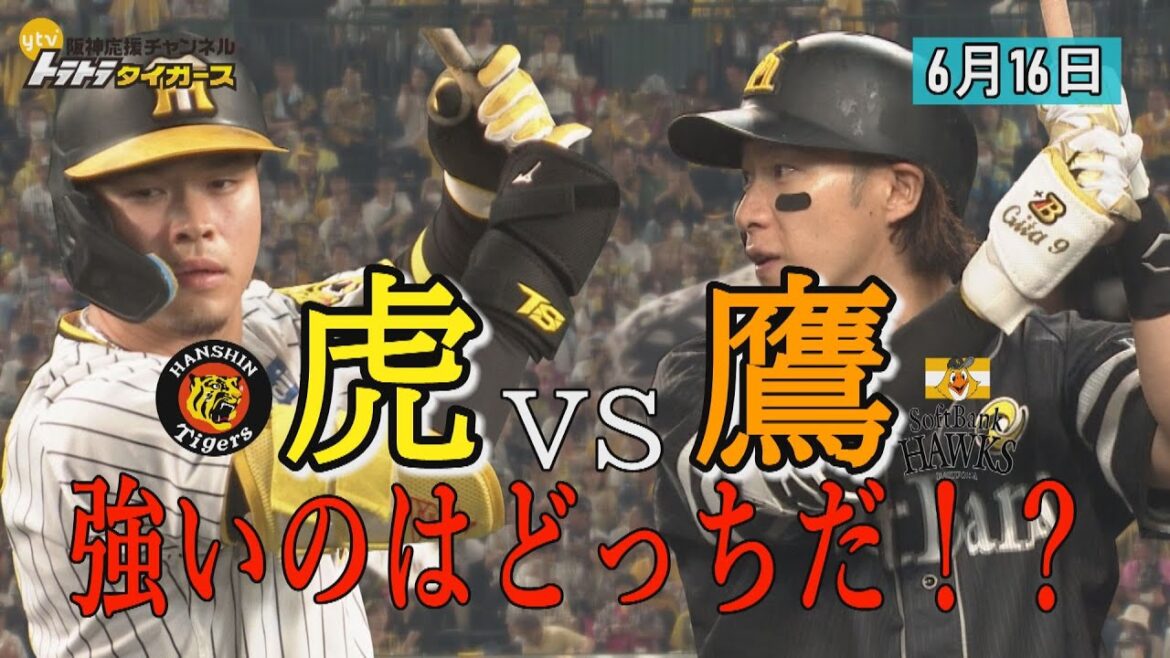 【6月16日ハイライト】虎vs鷹　強いのはどっちだ！？