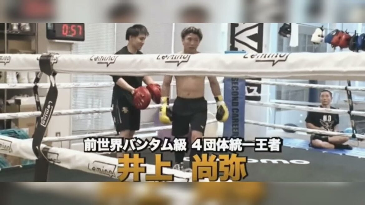 ジュライファイトvsフルトンを中心に井上尚弥のスピーディかつキレのあるボクシングテクニック
