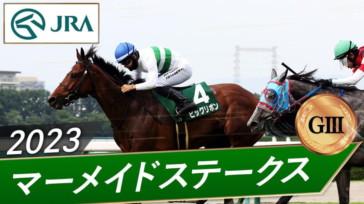 2023年 マーメイドステークス（GⅢ） | ビッグリボン | JRA公式
